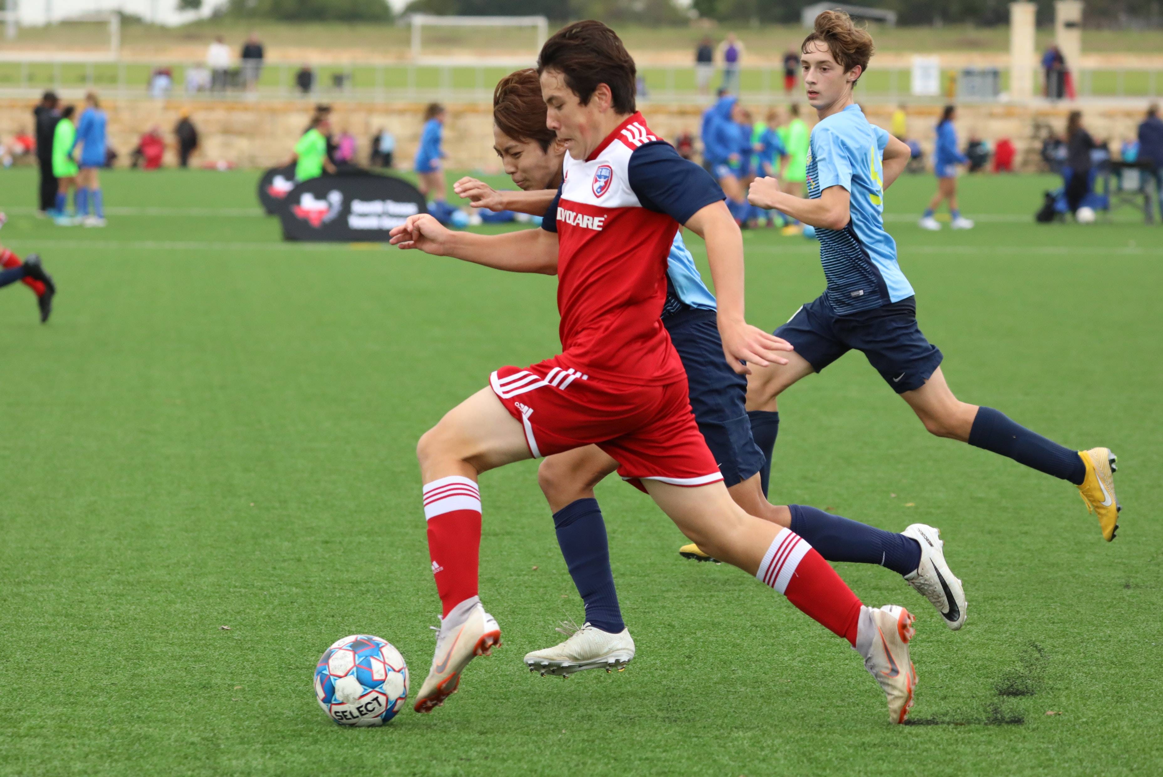 维亚的合作 维亚的合作